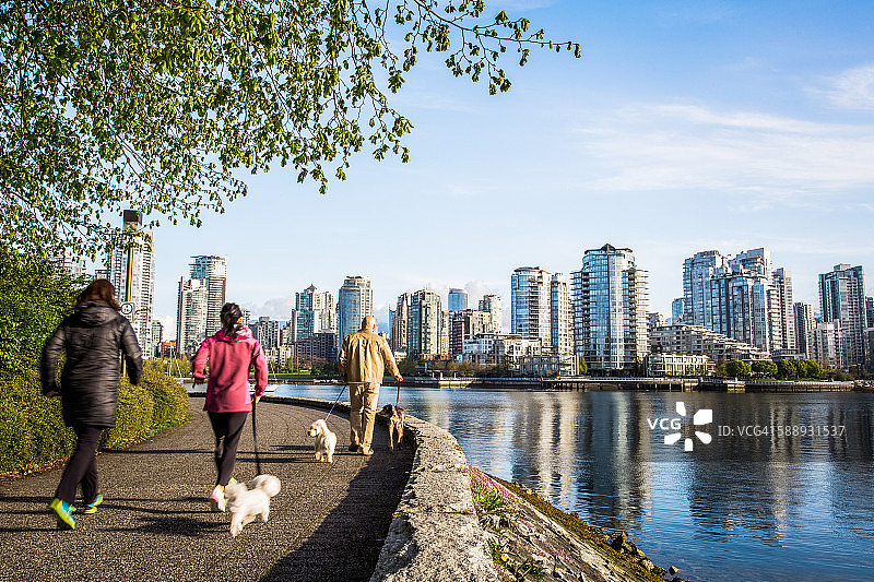 加拿大不列颠哥伦比亚省的温哥华。人们在水边的小路上遛狗，远处是市中心的天际线。图片素材