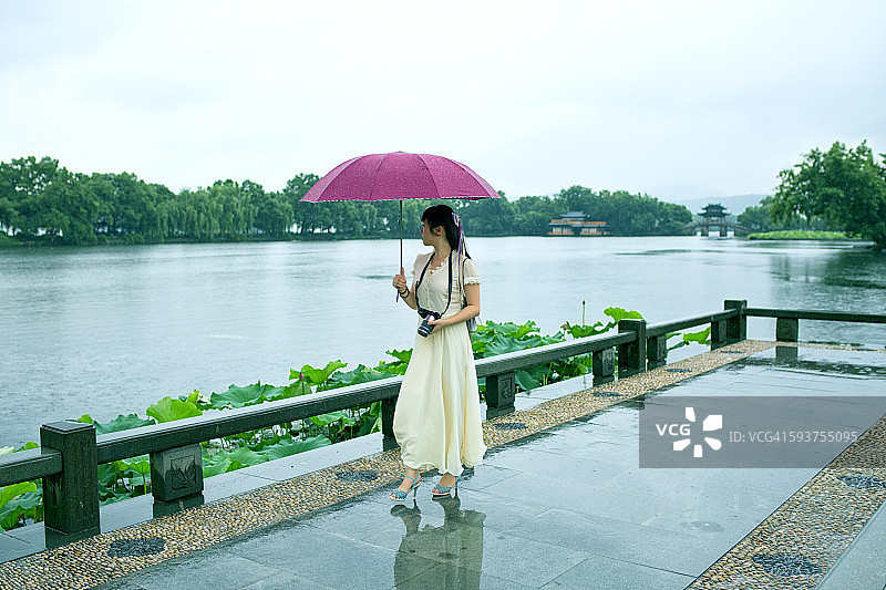 一名撑着雨伞的女子在杭州西湖散步图片素材