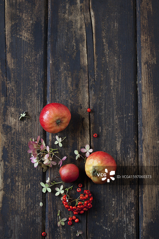 绣球花，火刺和红苹果在深色的木头上盛开图片素材