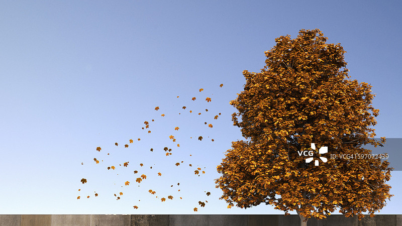 3D渲染，秋天的树木和落叶图片素材