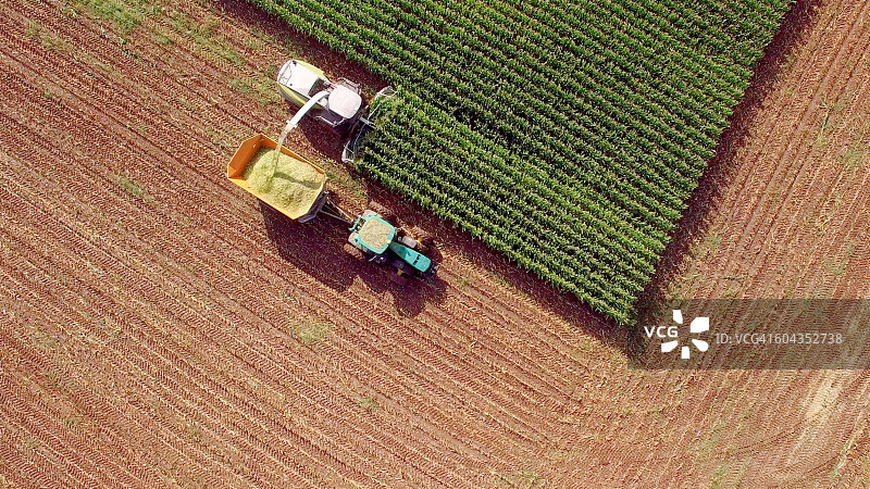 收割玉米作为饲料或乙醇的农业机器图片素材