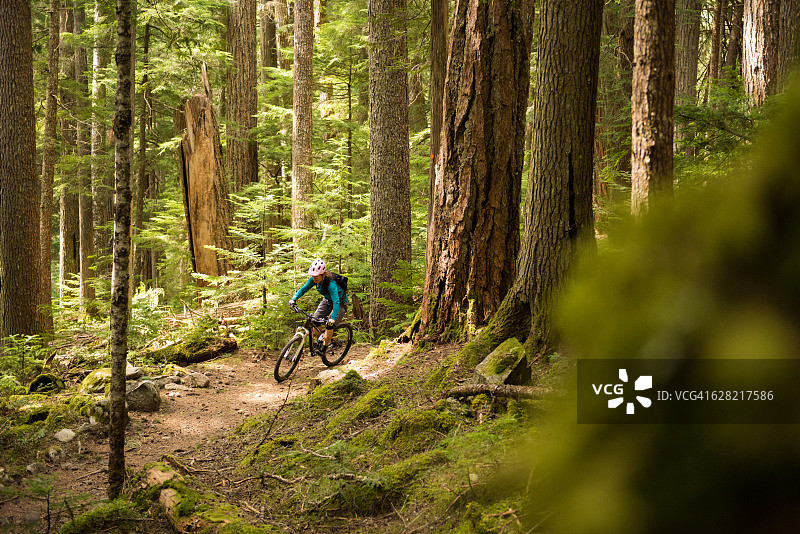 在原始森林里骑自行车图片素材