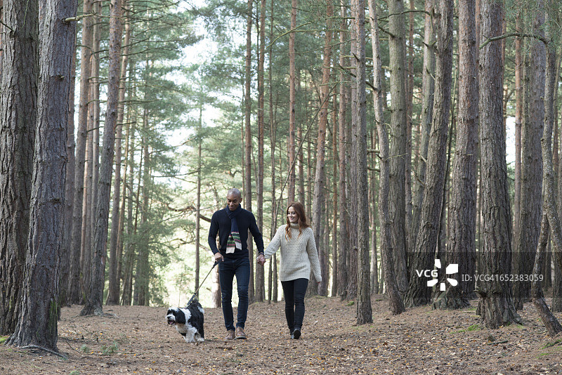 秋天，一对年轻夫妇带着他们的狗在森林里散步图片素材