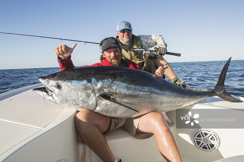 在大西洋上，渔夫拿着一条从船上捕到的大鱼图片素材