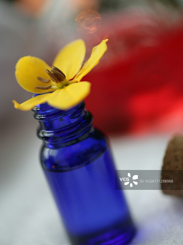 一个香薰油瓶与一朵花的特写图片素材