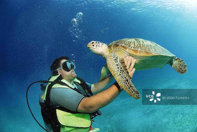 菲律宾，潜水员与绿海龟，水下景观图片素材