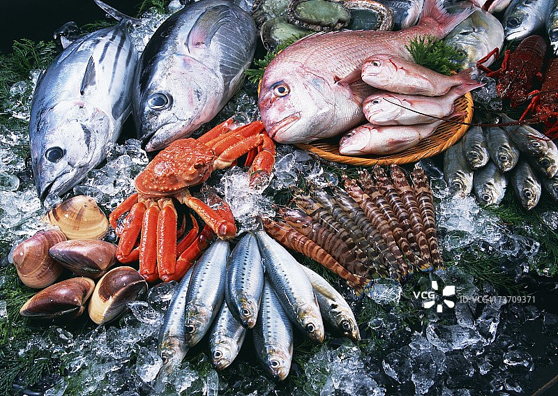 渔业产品图片素材