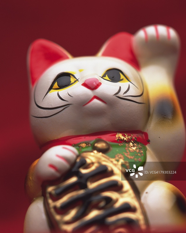 娃娃猫与一个招手的爪子，低角度的观点，红色背景，差异焦点图片素材