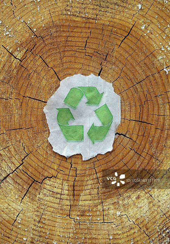 砍伐的原木末端有回收符号。图片素材