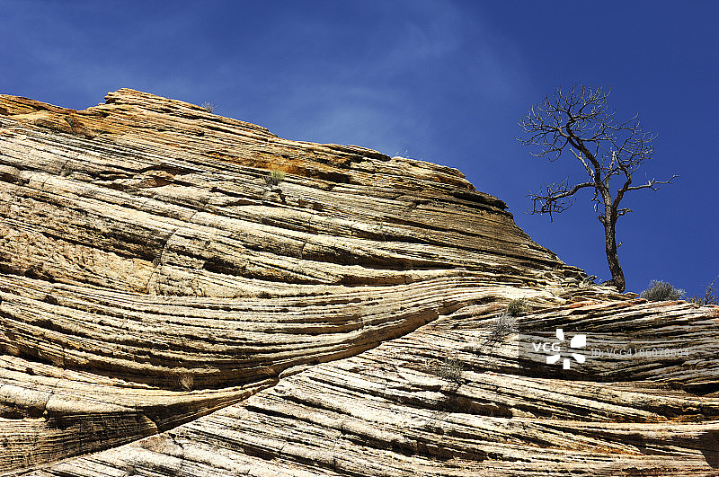 锯齿悬崖，锡安国家公园，犹他州图片素材