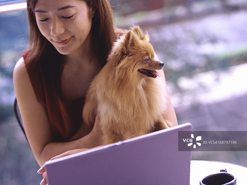 一个女人正在用笔记本电脑，手里还抱着一只博美犬图片素材