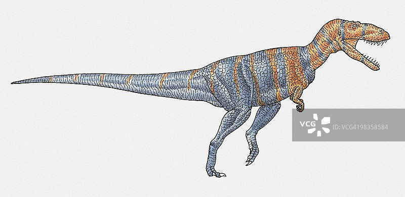 巨龙兽脚类恐龙的插图图片素材