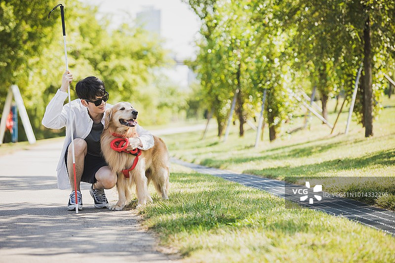 一只导盲犬和一个盲人在散步图片素材