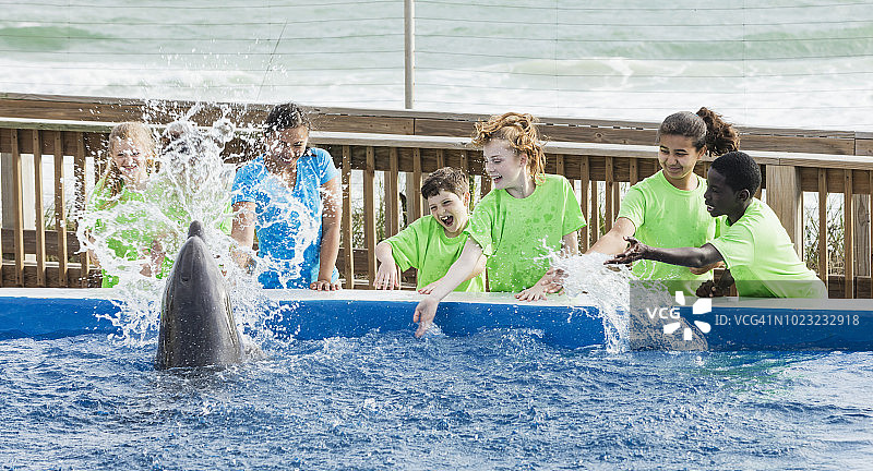 孩子们，老师在海洋公园，海豚戏水图片素材