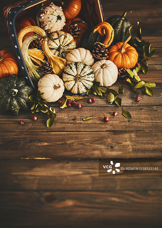秋天的背景用南瓜搭配静物图片素材