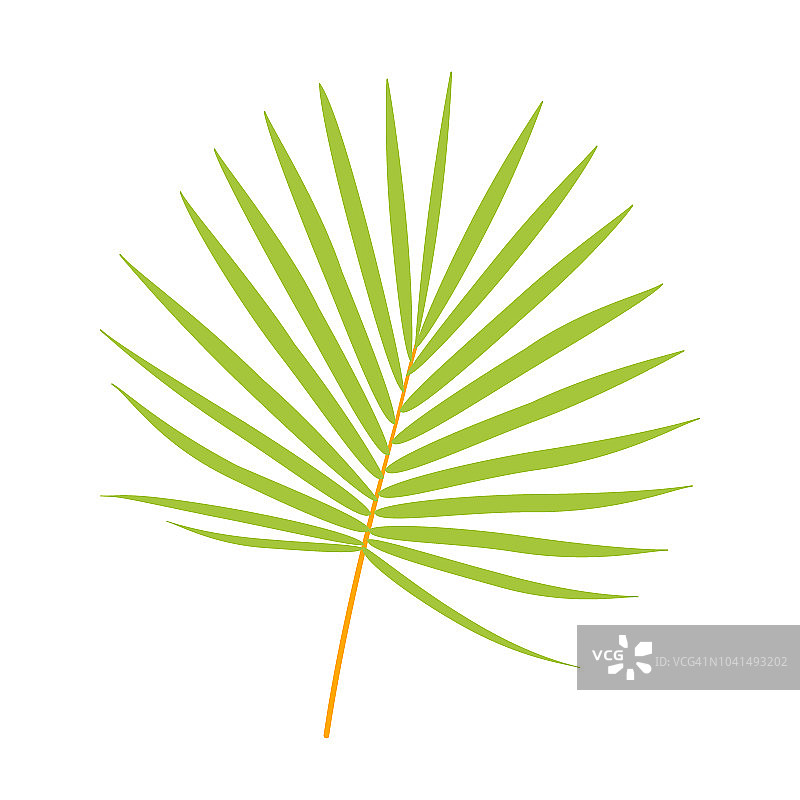 棕榈分支矢量平面图标图片素材