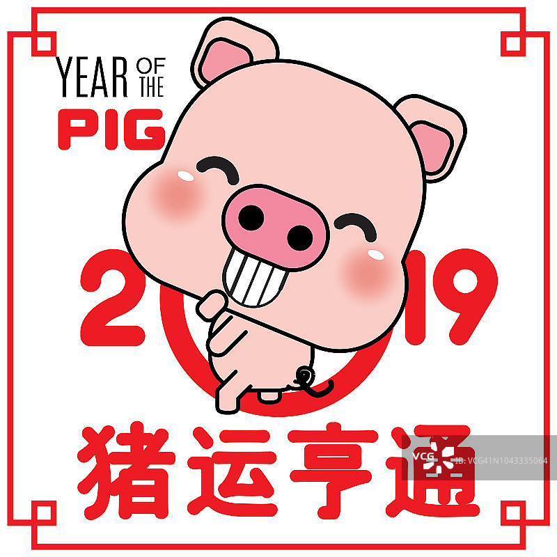 2019年春节快乐，用可爱的卡通小猪祝你猪年快乐。中文翻译:猪年带来繁荣和好运。图片素材