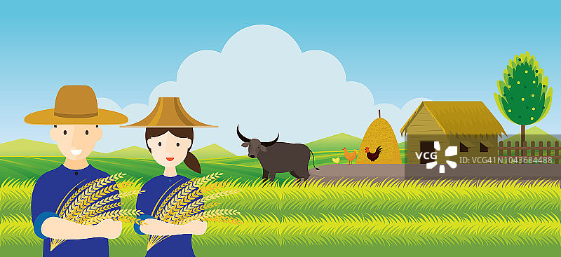 泰国农民与水稻和稻田背景图片素材