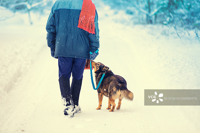 一个牵着狗的人在冬天的雪地上散步。男子穿着传统的俄罗斯北方冬季鞋valenki图片素材