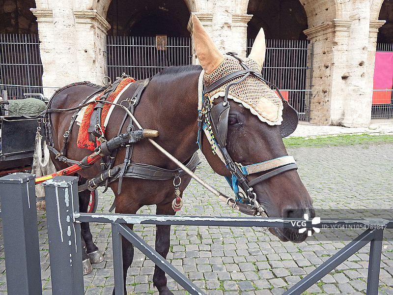 罗马斗兽场供游客使用的马车图片素材
