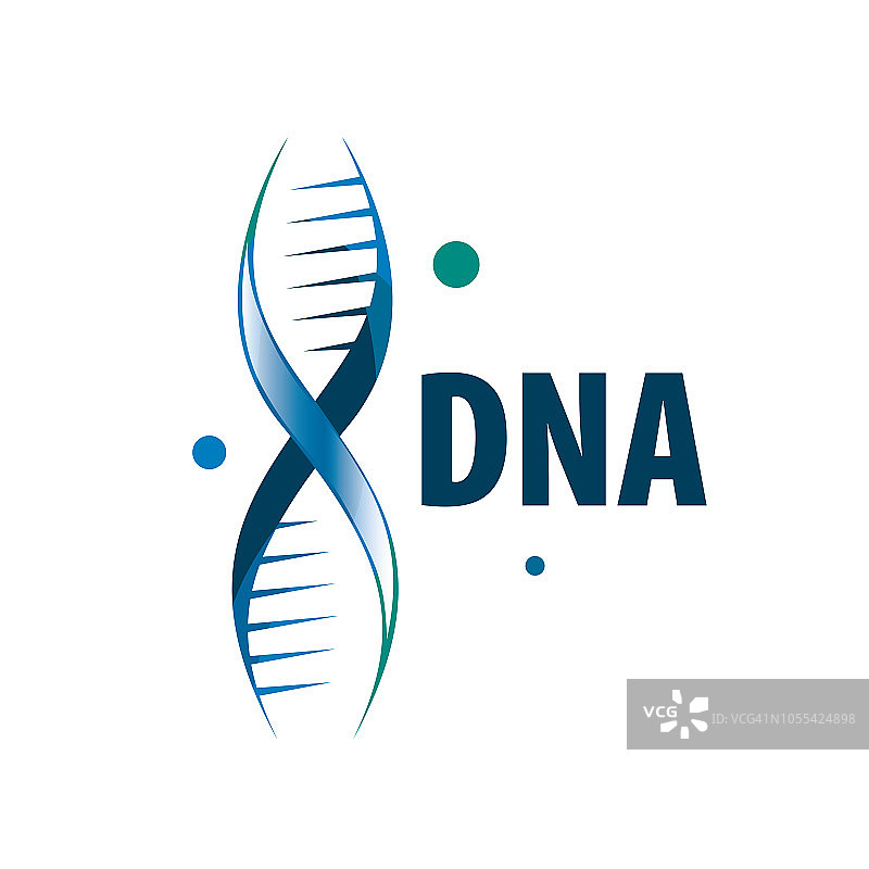 以螺旋DNA的形状签名。矢量插图。图片素材