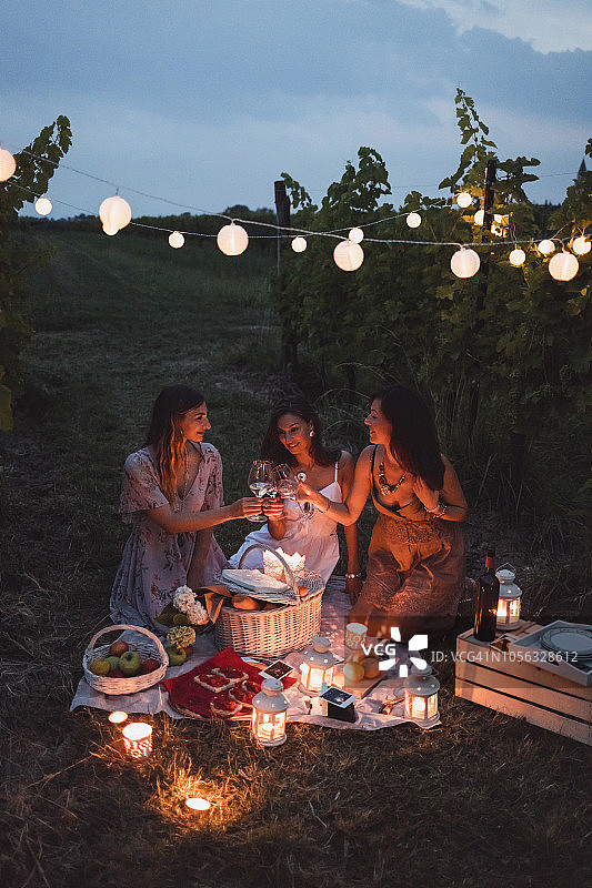 夏日夜晚，朋友们在葡萄园里野餐图片素材