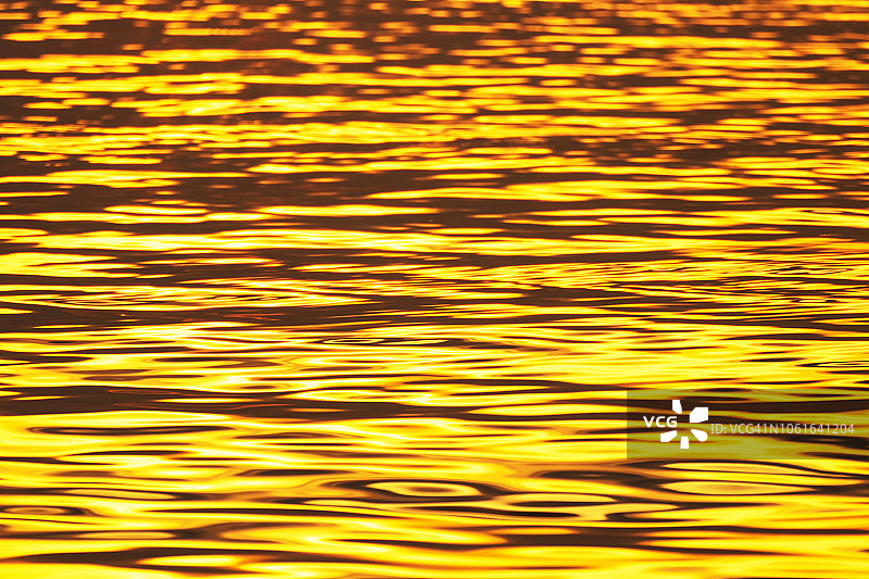 抽象闪亮的彩色金色波浪。金色的背景图片素材