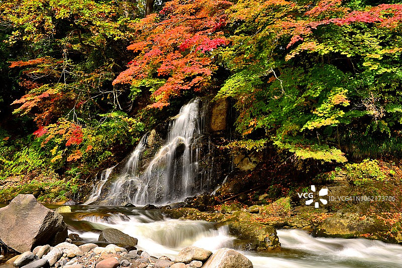 秋天的颜色中野百山，黑石，青森县，日本东北部图片素材