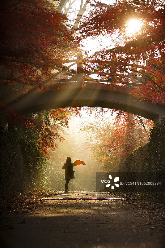 一个女人走在古老的石桥下，阳光穿过红枫森林在一个美好的秋天图片素材