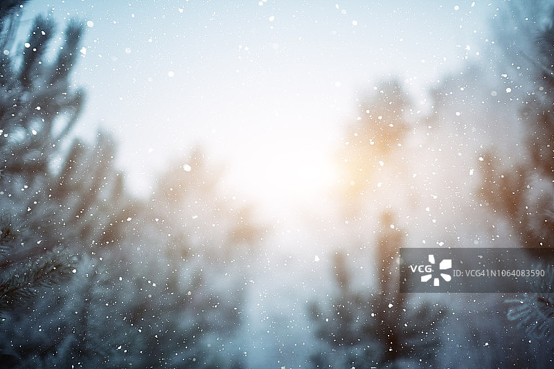 冬天的场景——树林里下雪图片素材