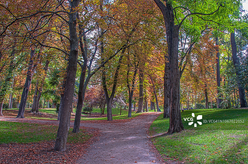 秋天在美好的静修公园图片素材