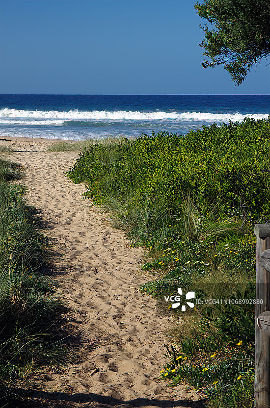 穿过沙丘到达澳大利亚新南威尔士州的瑟罗尔海滩图片素材