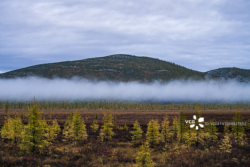 秋天的树木生长在乡村景观，俄罗斯。图片素材