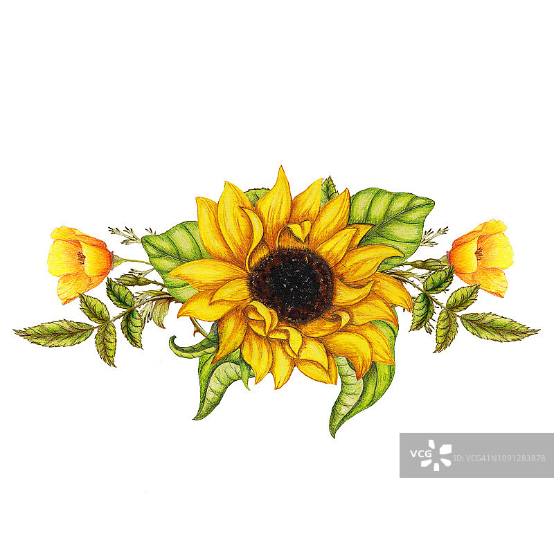 手绘边框的黄色花朵图片素材