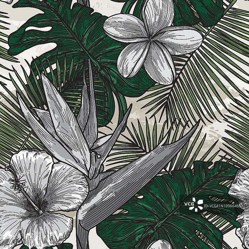 现代热带花卉图案图片素材