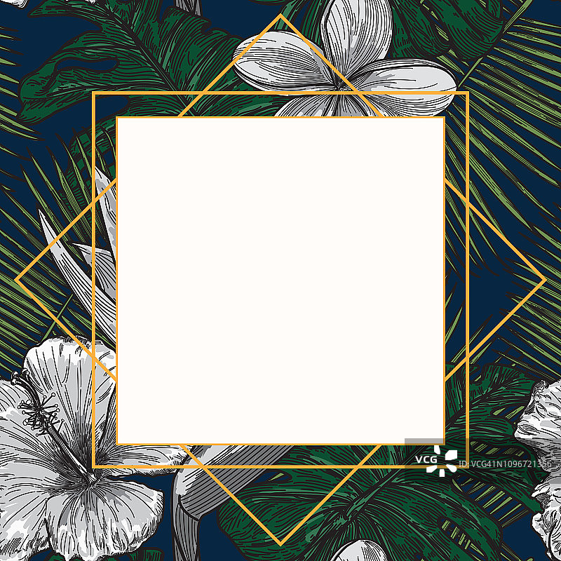 现代热带植物框架模板图片素材