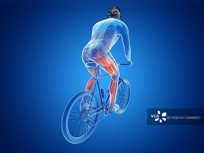 一个骑自行车的人的肌肉图片素材