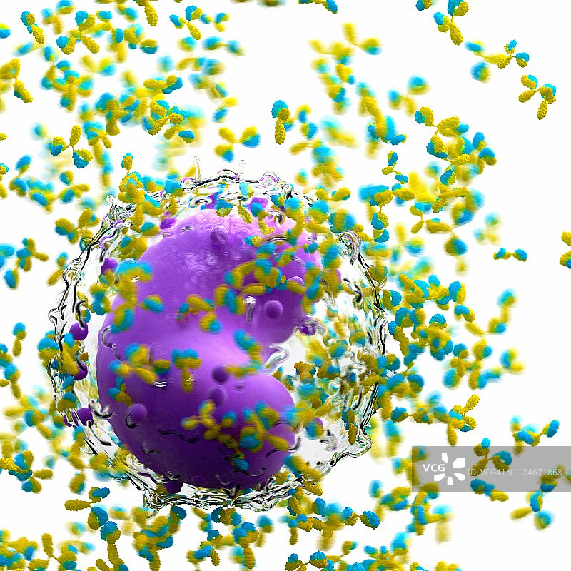 白细胞和抗体图解图片素材