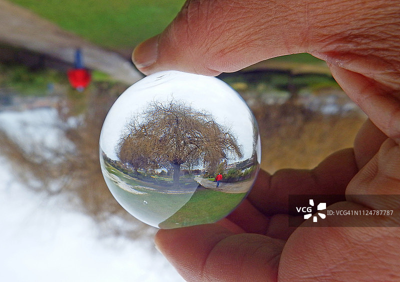 透过玻璃球大自然图片素材