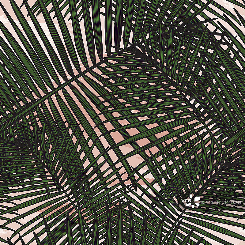 无缝热带棕榈叶图案图片素材