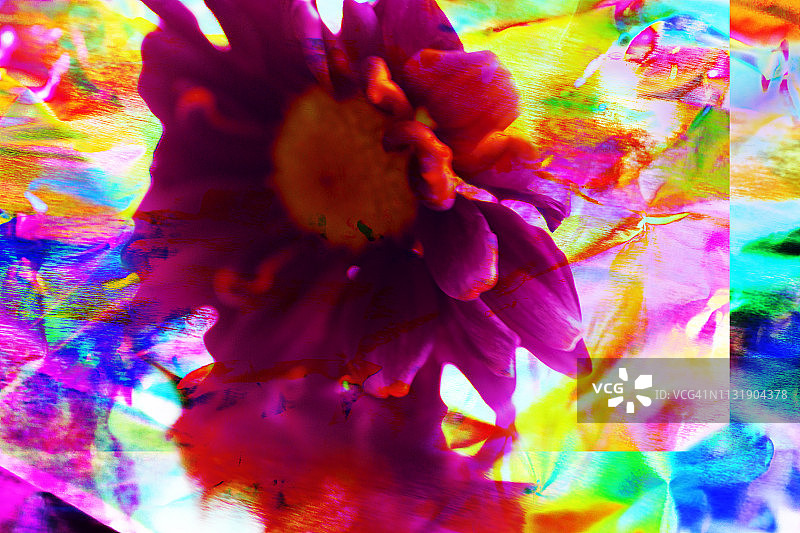 彩色杂色背景的花头-现代艺术图片素材