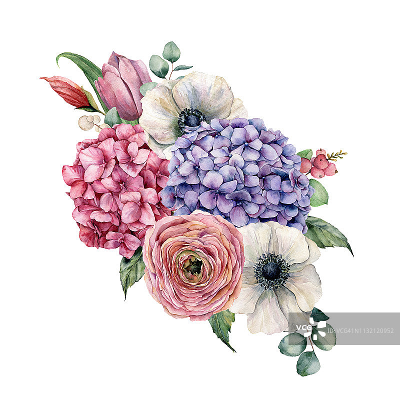 水彩绣球花束。手绘粉红和紫罗兰绣球花，郁金香，银莲花和毛茛与桉树叶孤立在白色背景设计，印刷。图片素材