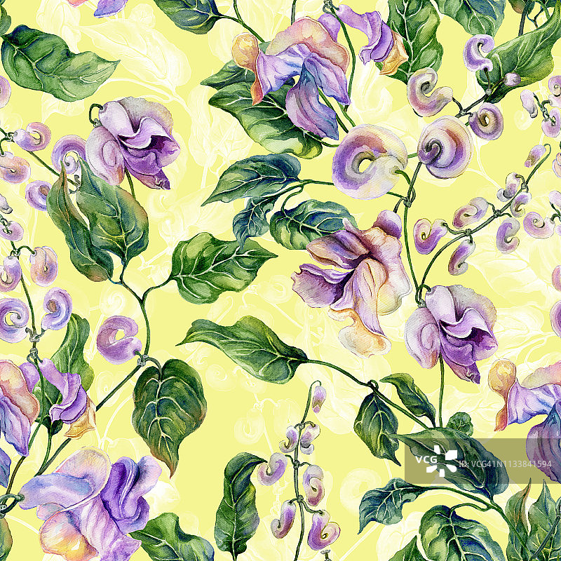 美丽的蜗牛藤枝与紫色的花在黄色的背景。无缝的花卉图案。水彩画。手绘插图。图片素材