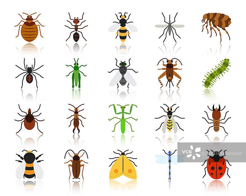 危险昆虫简单的平面颜色图标向量集图片素材