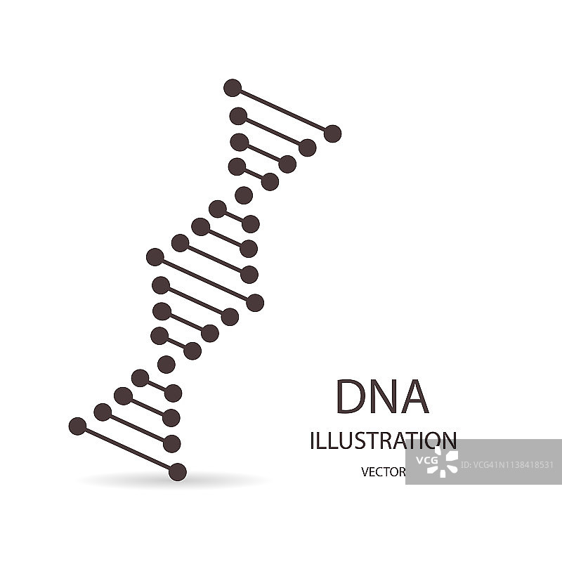 DNA符号在平面风格，在一个白色的背景图片素材
