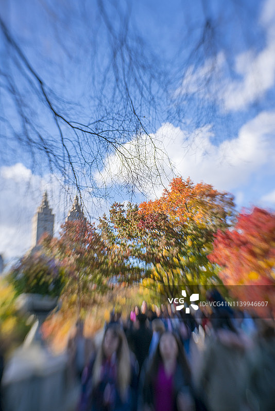 11月3日，美国纽约中央湖公园的弓桥上，游客在五彩缤纷的秋色树中漫步。图片素材