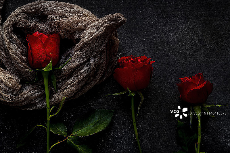 黑色背景的红玫瑰图片素材