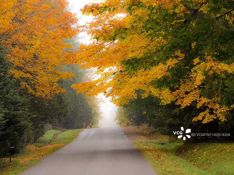 秋天的颜色与大枫叶和乡村巷，华盛顿州，美国图片素材