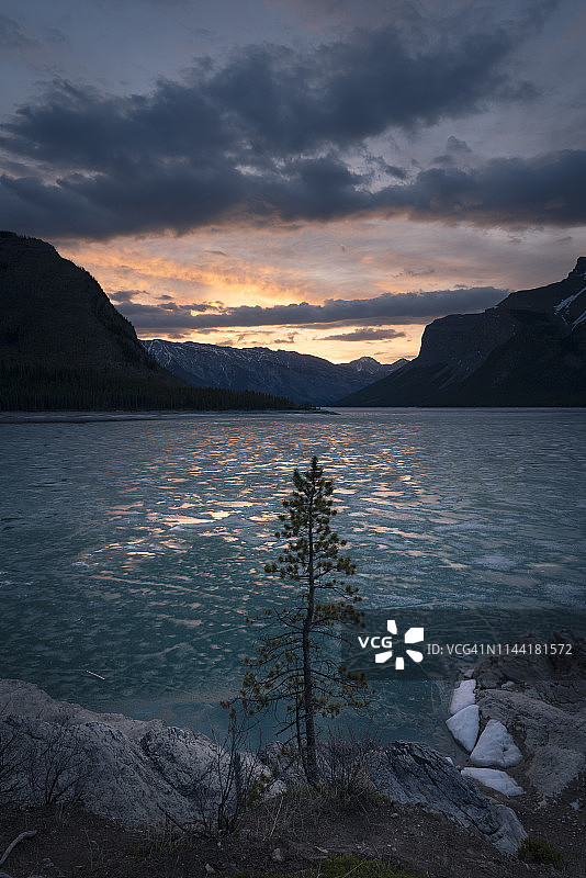 日出时分，加拿大亚伯达省班夫国家公园内明尼万卡湖上的一棵孤独的树图片素材
