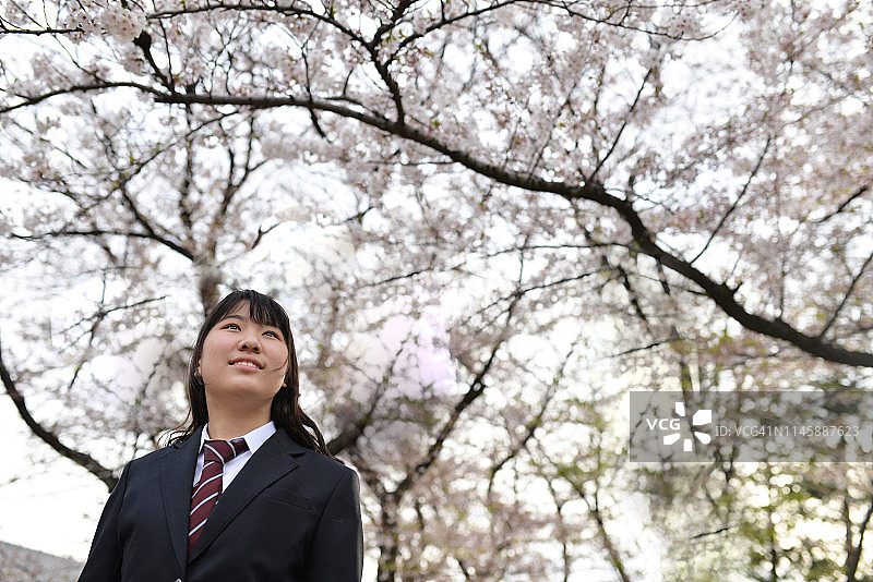 女学生穿着校服和樱花。图片素材